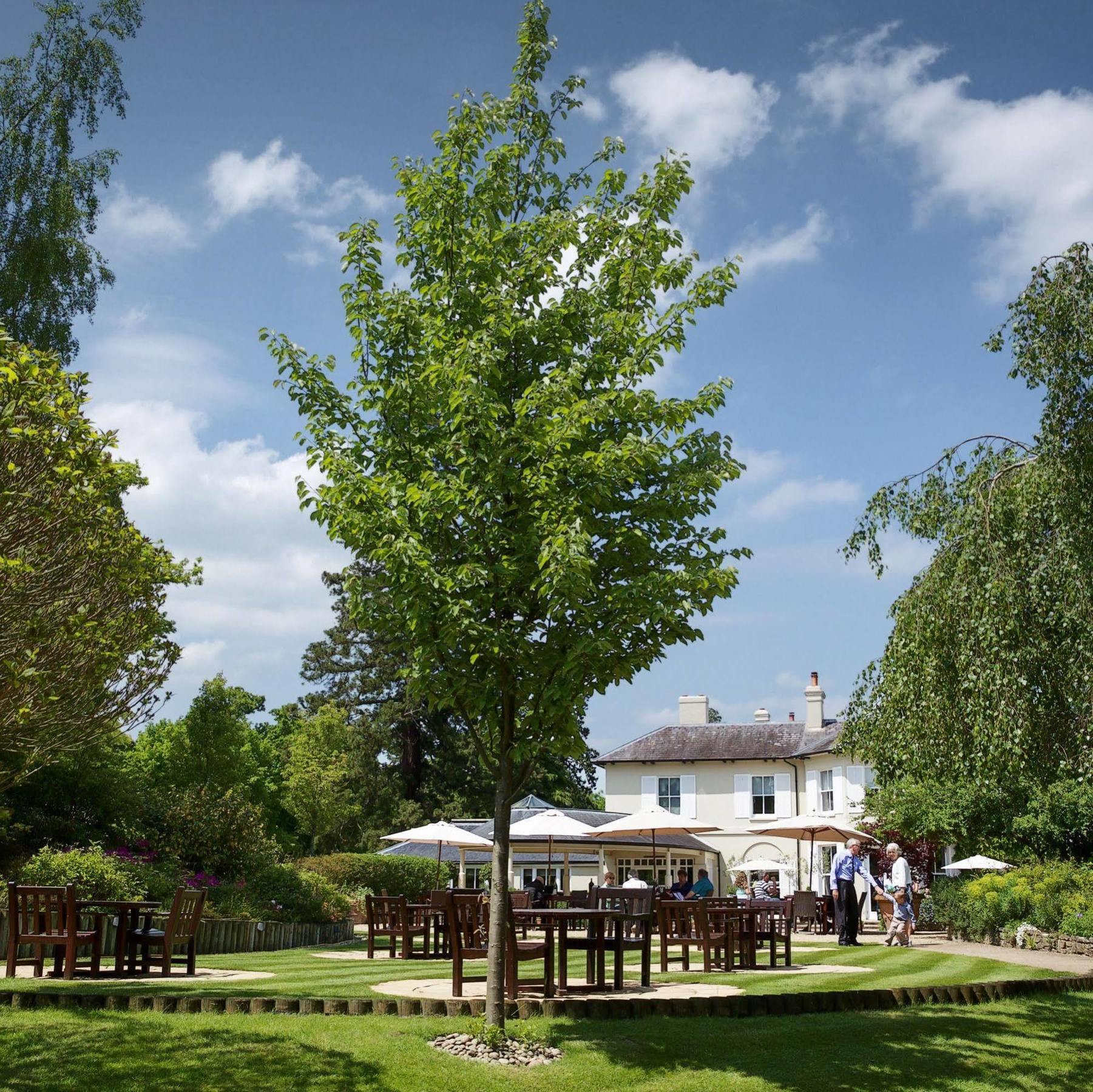 The Vineyard Hotel & Spa Newbury  Esterno foto